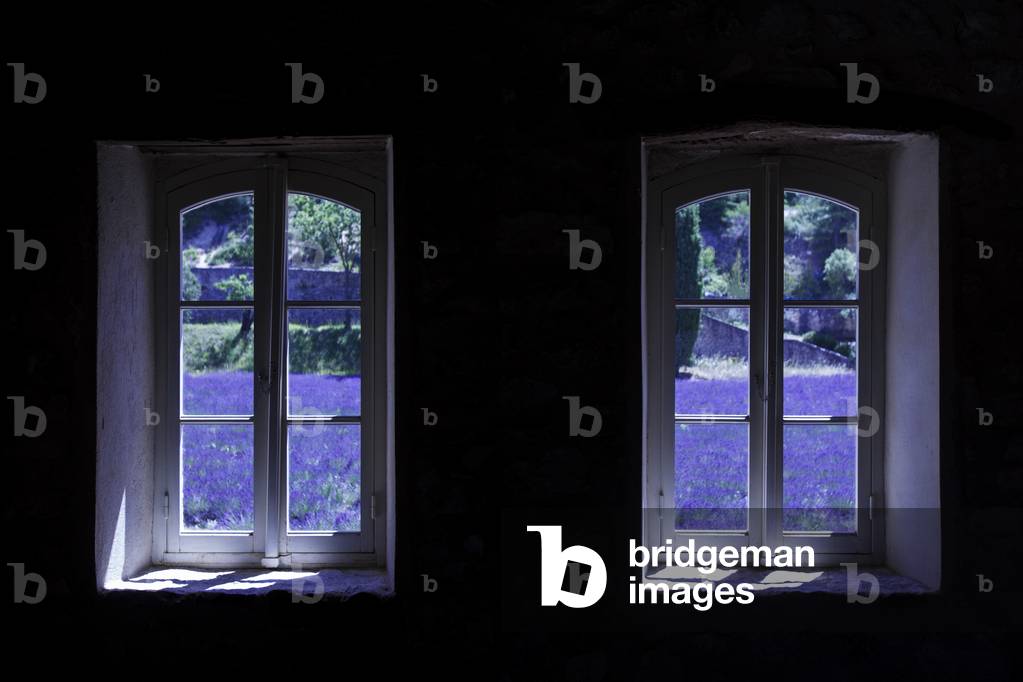 View of a field of lavender from the Abbey of Senanque