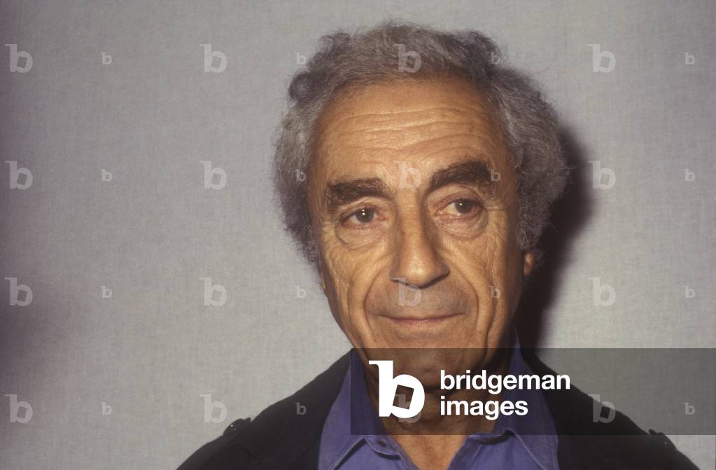 Venice Film Festival, 1983. Italian movie director Michelangelo Antonioni (photo)