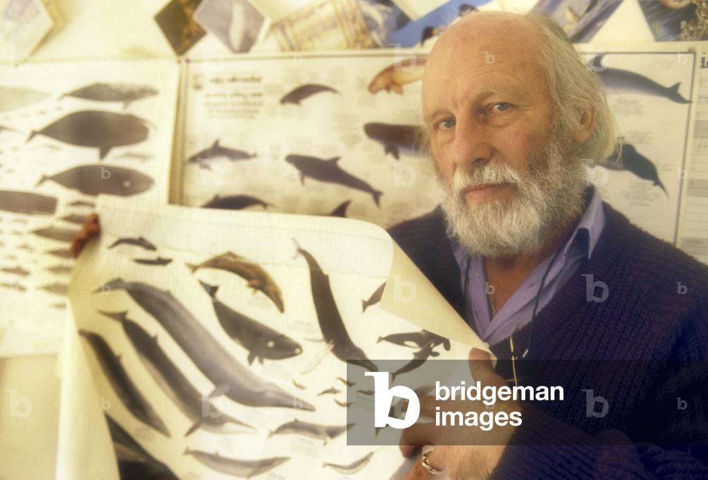 British marine biologist and whale expert, Sidney Holt (1987) (photo)