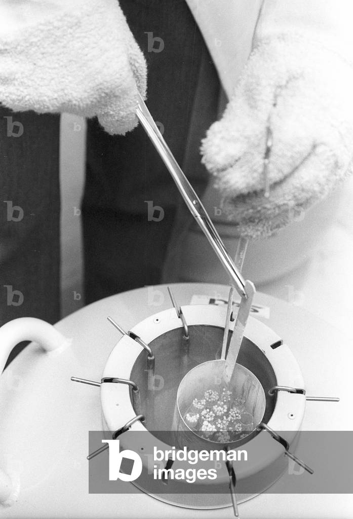 Artificial insemination