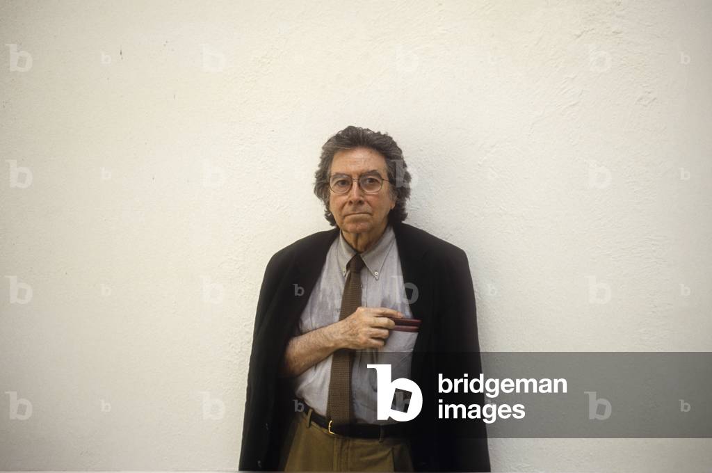 Biennale Arte di Venezia 1993