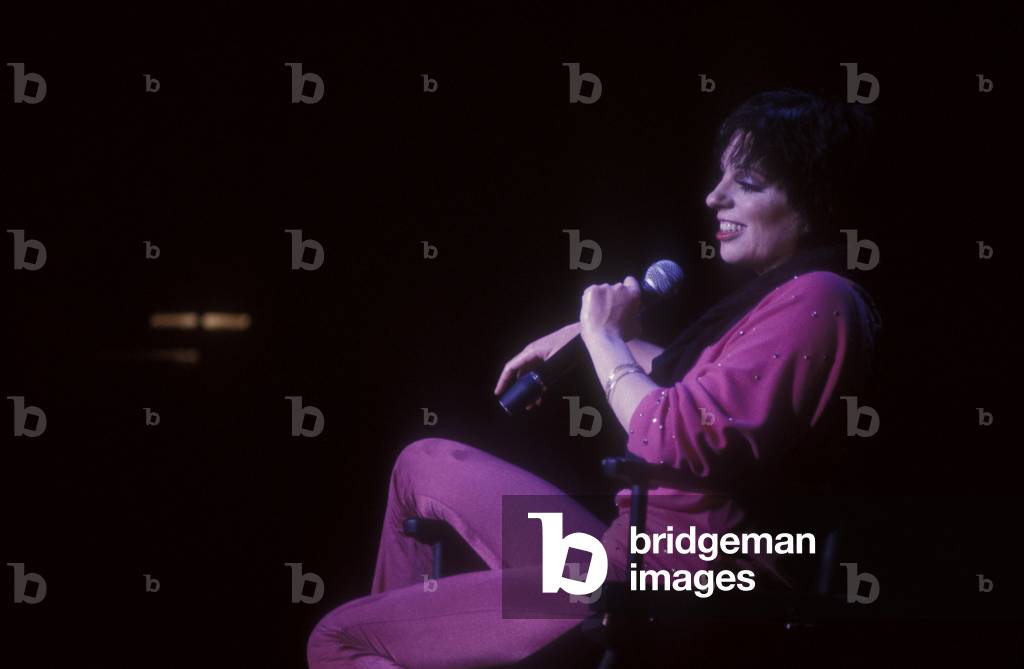 Singer and actress Liza Minnelli on stage in 1990