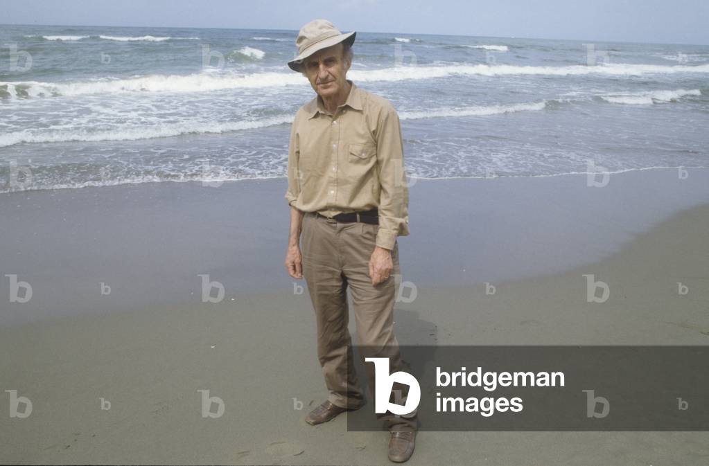 Italian writer Manlio Cancogni (1989) (photo)