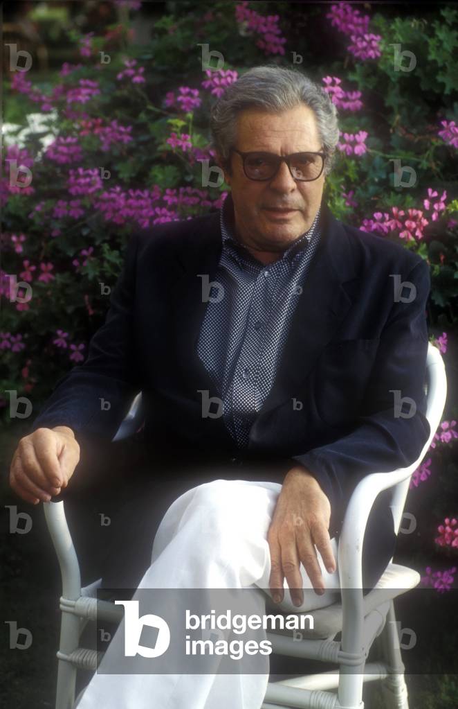 Italian comedian Marcello Mastroianni in 1993.