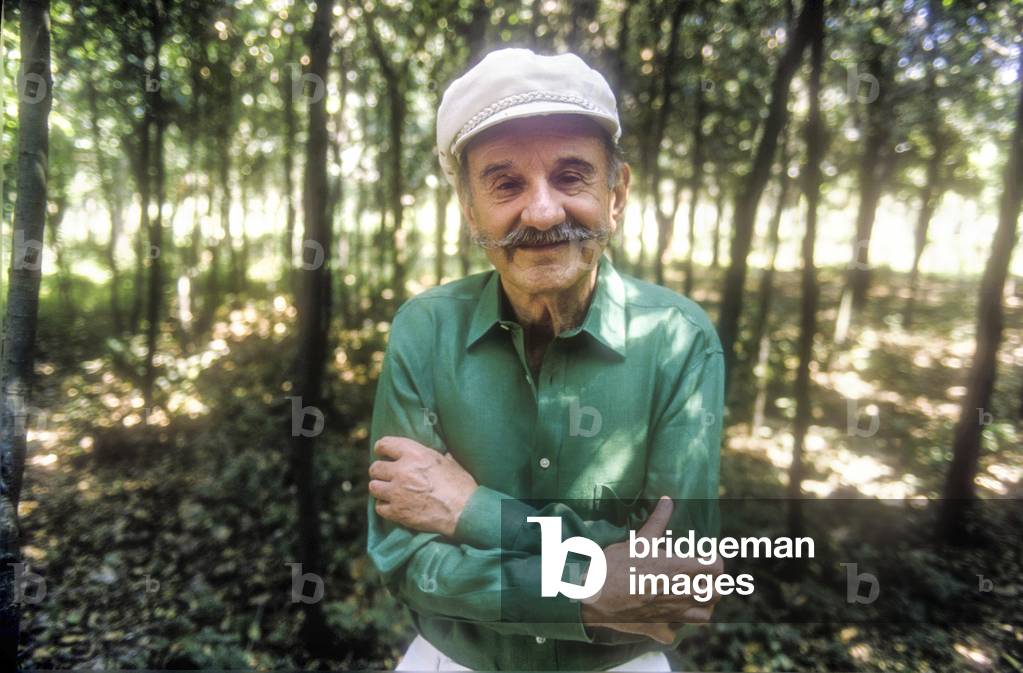 Rome, 1979. Italian writer Giorgio Saviane (photo)