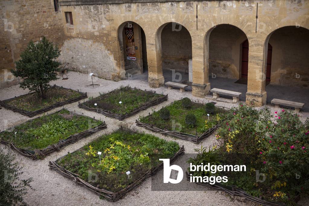 Giardino dei Semplici