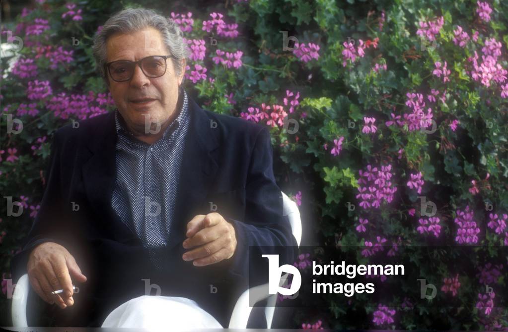 Italian comedian Marcello Mastroianni in 1993.