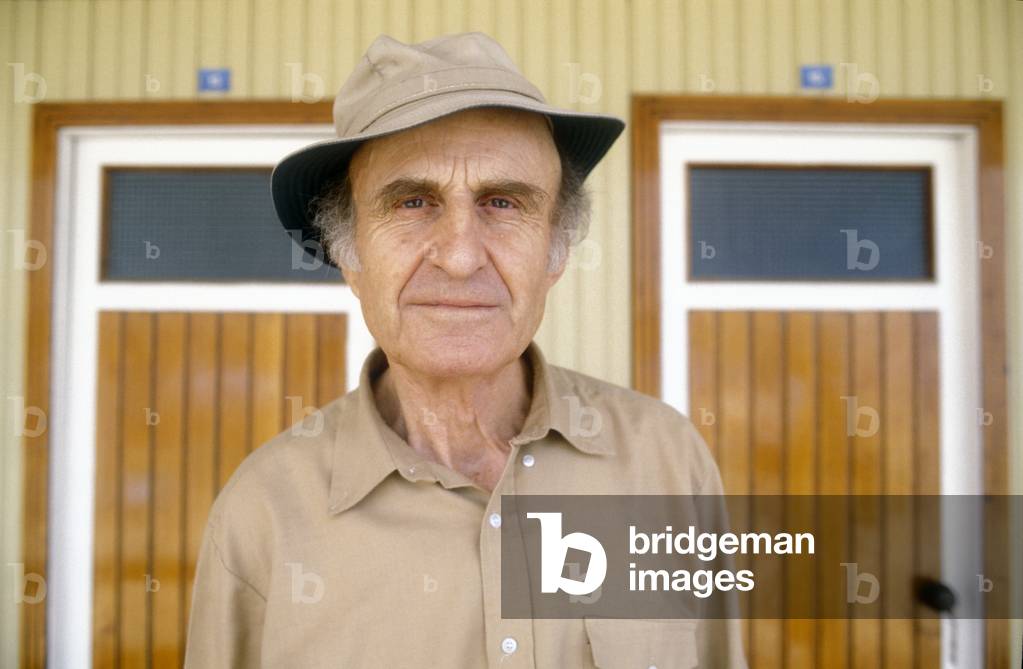 Italian writer Manlio Cancogni (1989) (photo)