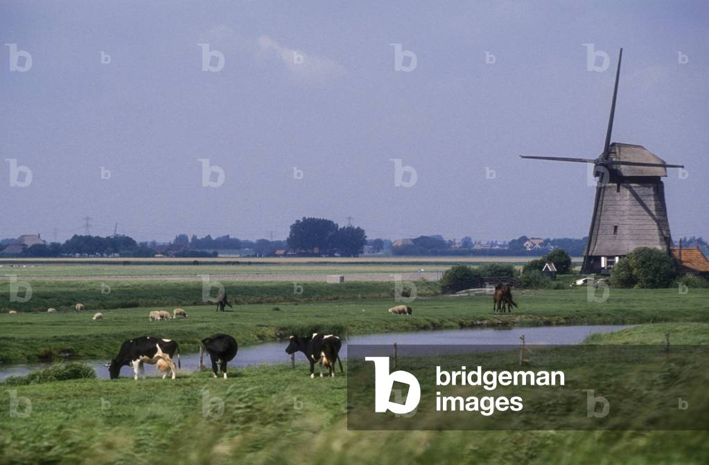 SCHERMER (Netherlands). Windmills