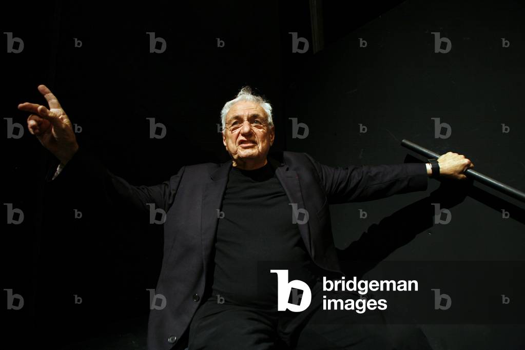 Frank Gehry