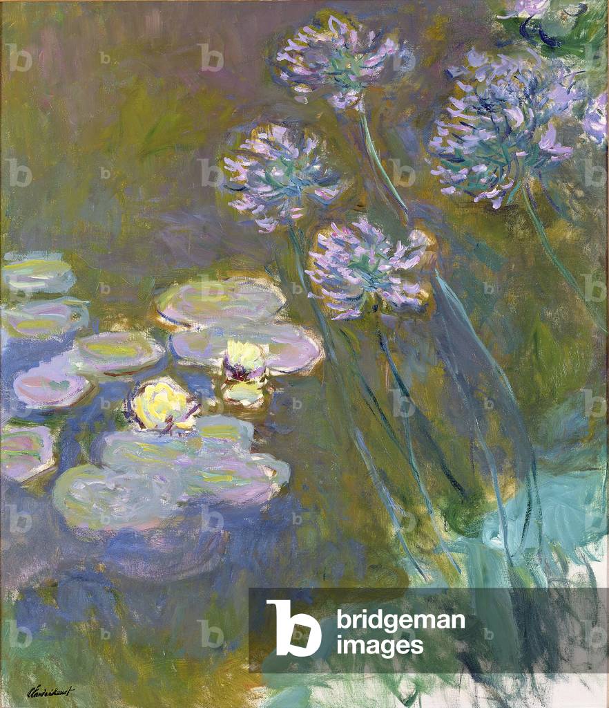 Image of Painting depicting Waterlilies and Agapanthus, 20th century by Claude Monet