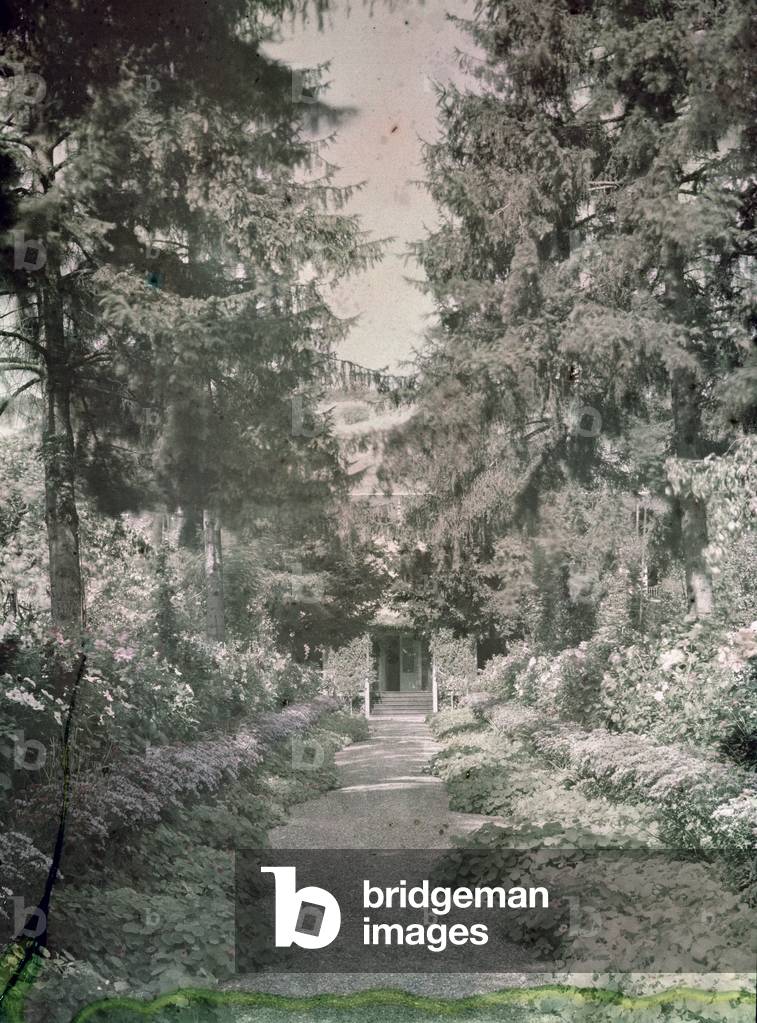 Image of Photography depicting Path in Monet's Garden at Giverny, 20th century by French Photographer
