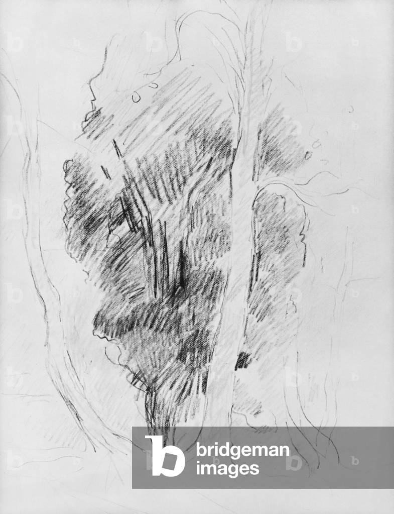 Studio di alberi, 1893 (matita su carta)