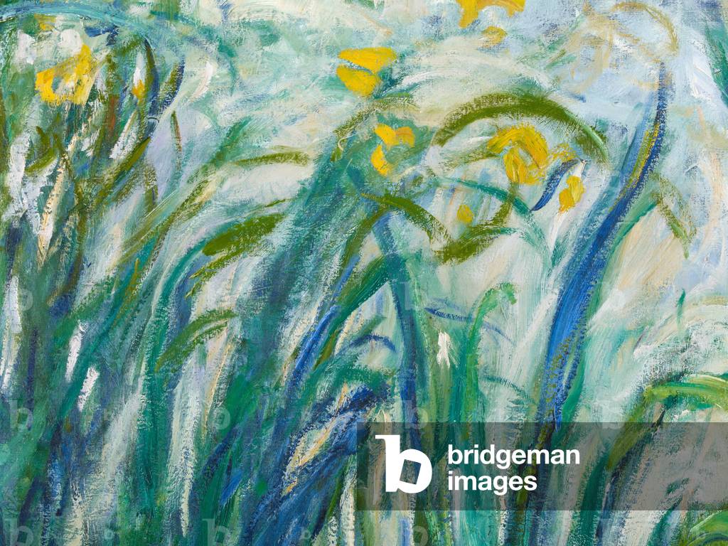 Iris gialli e viola, 1924-25 (dettaglio di 169490) (olio su tela)