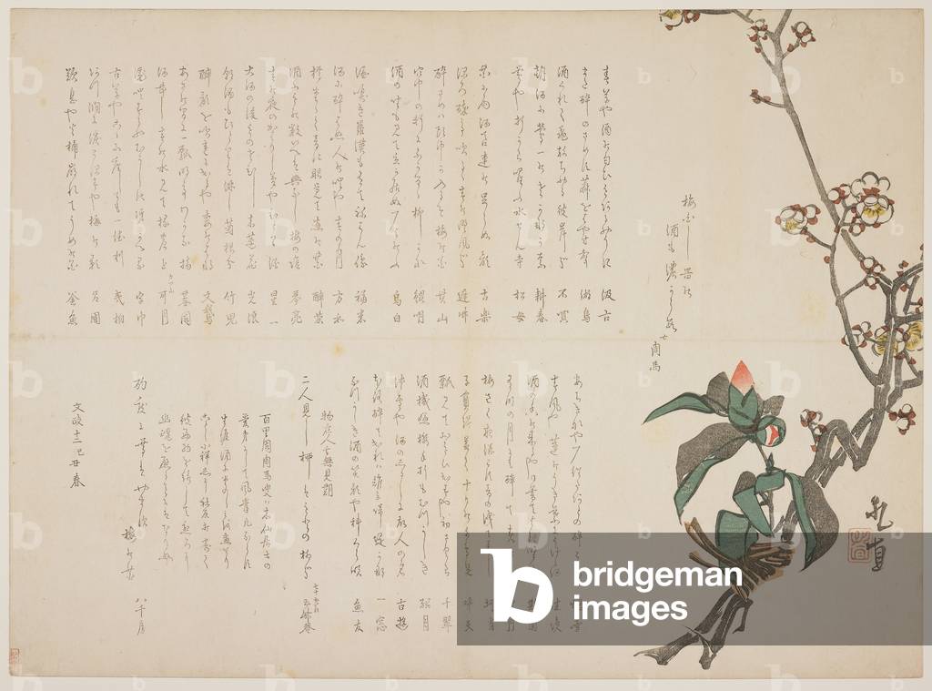 Plum and Camellia Branches, 1829 (colour woodblock print)