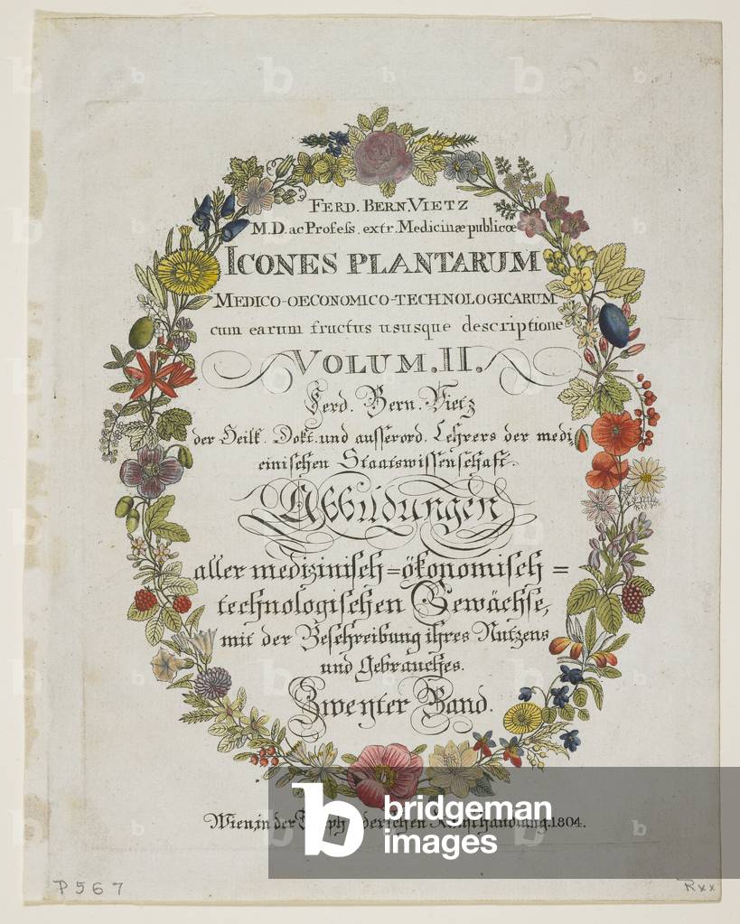 Frontispiece and Title Page, Vol. II, from Icones Plantarum Medico-Oeconomico-Technologicarum cum Earum Fructus ususque Descriptione, 1804 (hand-coloured engraving)