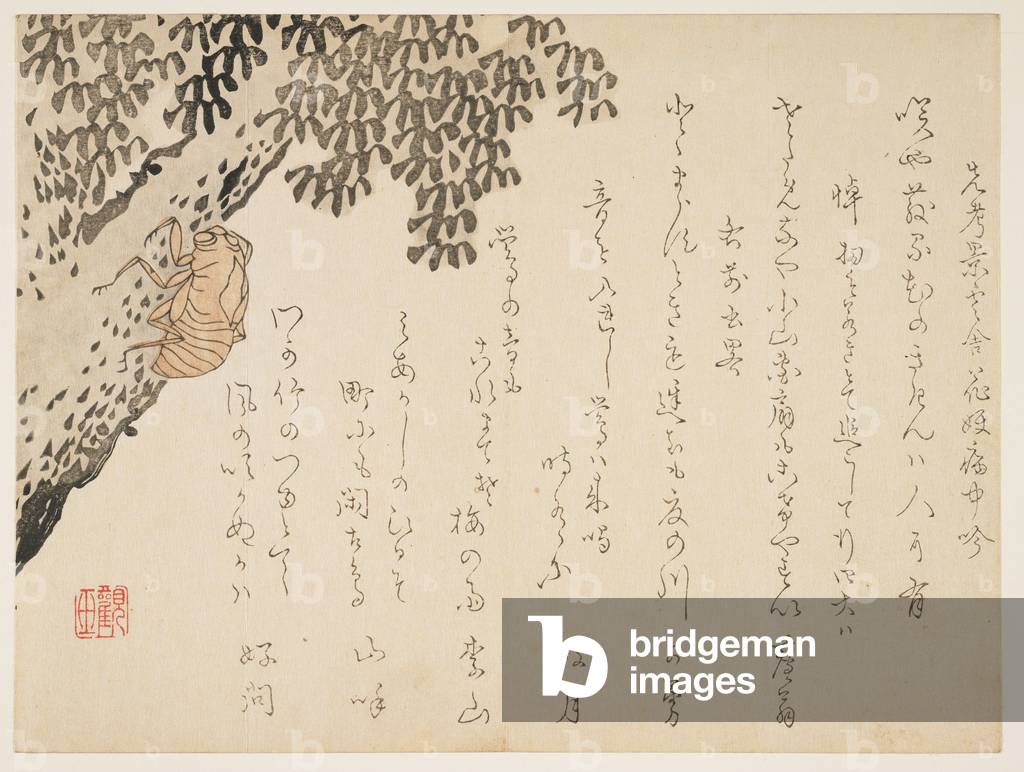 Shell of a cicada, c.1848-53 (colour woodblock print)