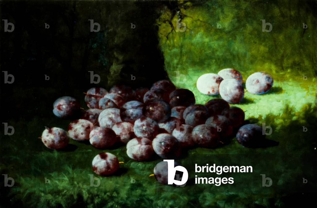 Plums, c.1870 (oil on canvas mounted to millboard)