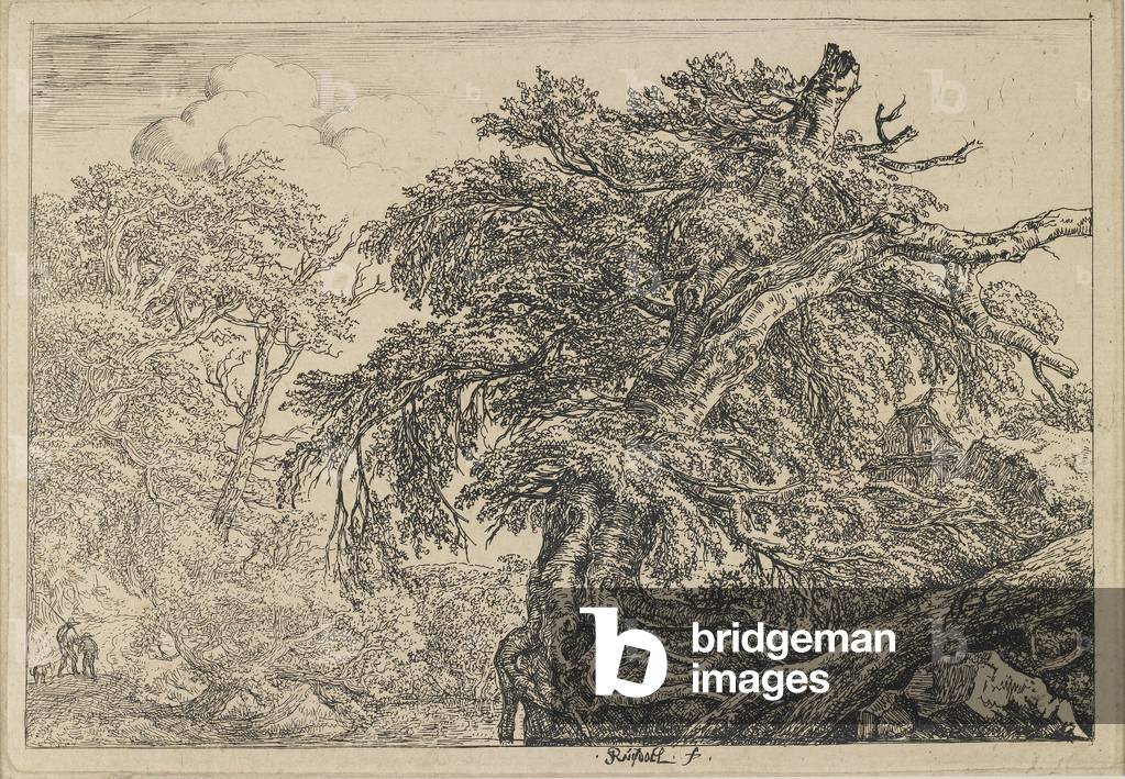 The Great Beech with Two Men and a Dog, c. 1650-1655