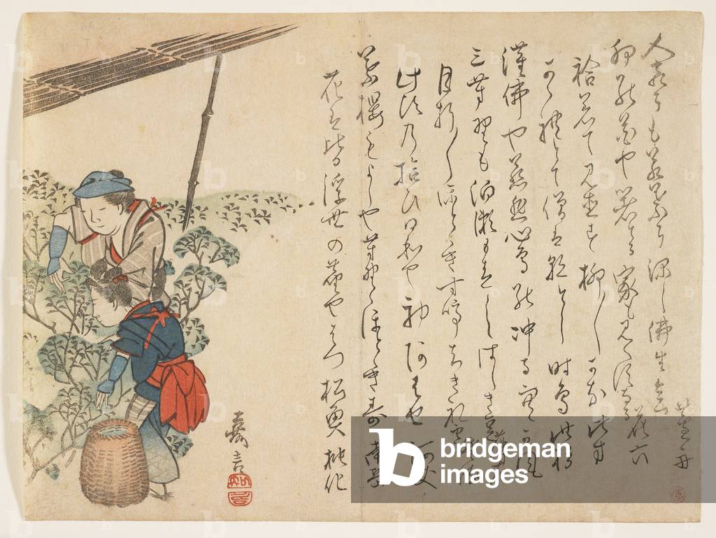 Tea Pickers, c.1830-44 (colour woodblock print)