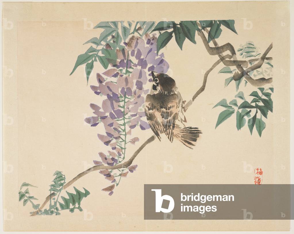 (Sparrow on a wisteria branch), 1859-1895