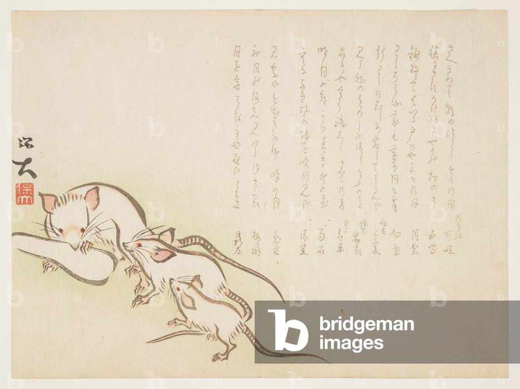 (White mice), January 1864