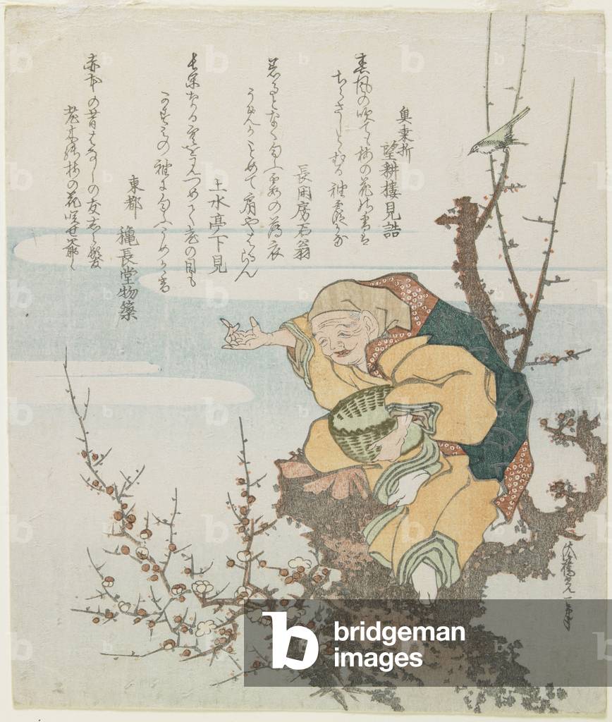Old Man Who Made Blossoms Bloom, 1825-35 (colour woodblock print)