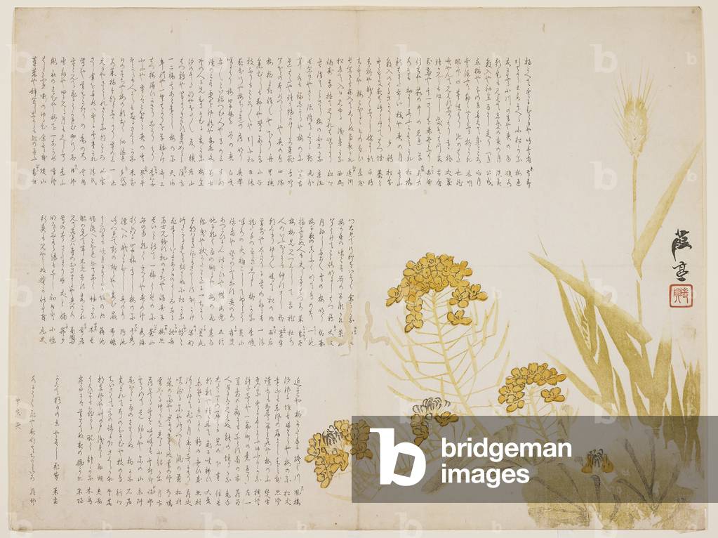 Rape blossom and wheat, 1854 (colour woodblock print)