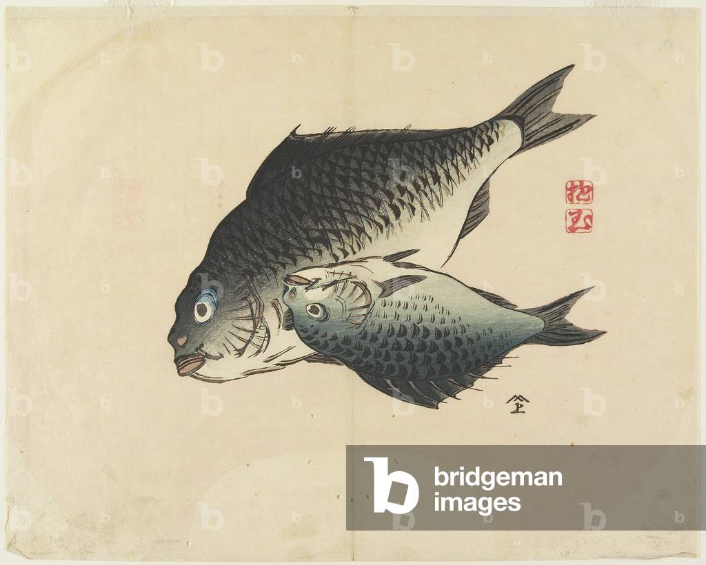 (Pair of Fish), c. 1830