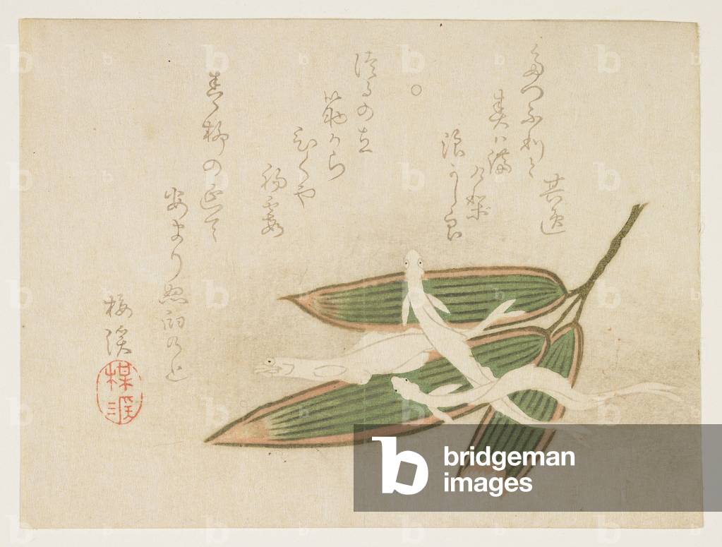 (Whitebait and bamboo leaves), c. 1860