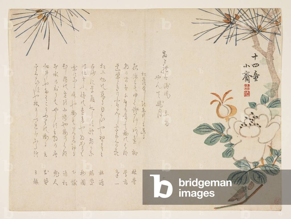 Pine and a peony flower, 1860 (colour woodblock print)