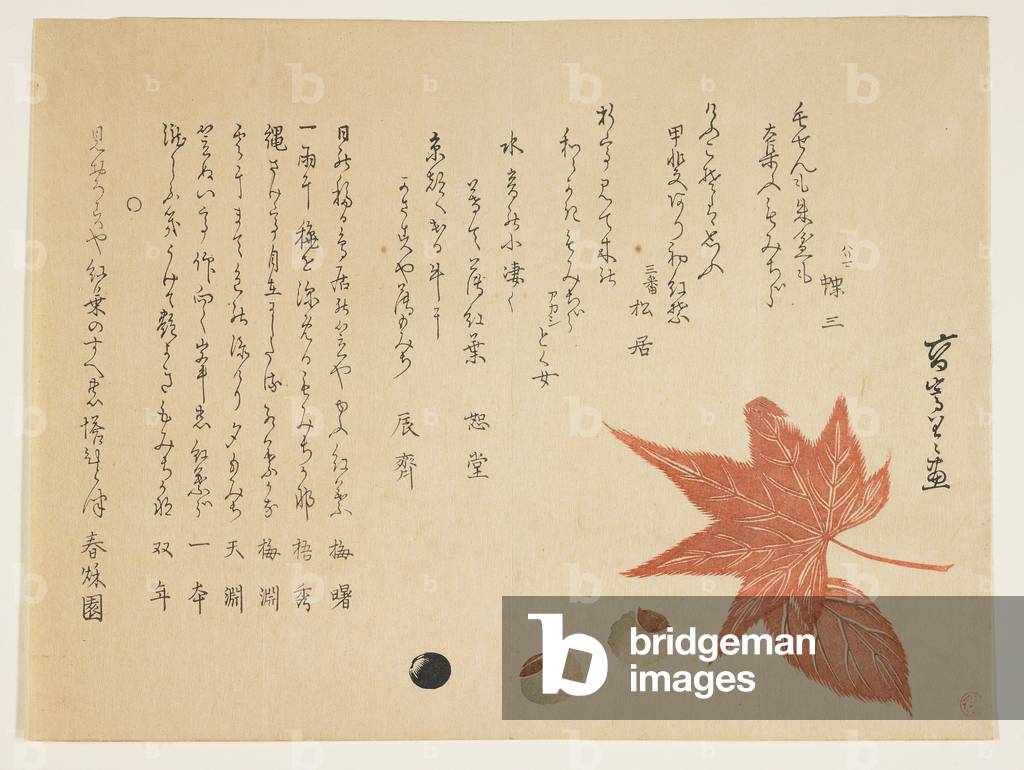 Autumn leaves and nuts, 1849-76 (colour woodblock print)