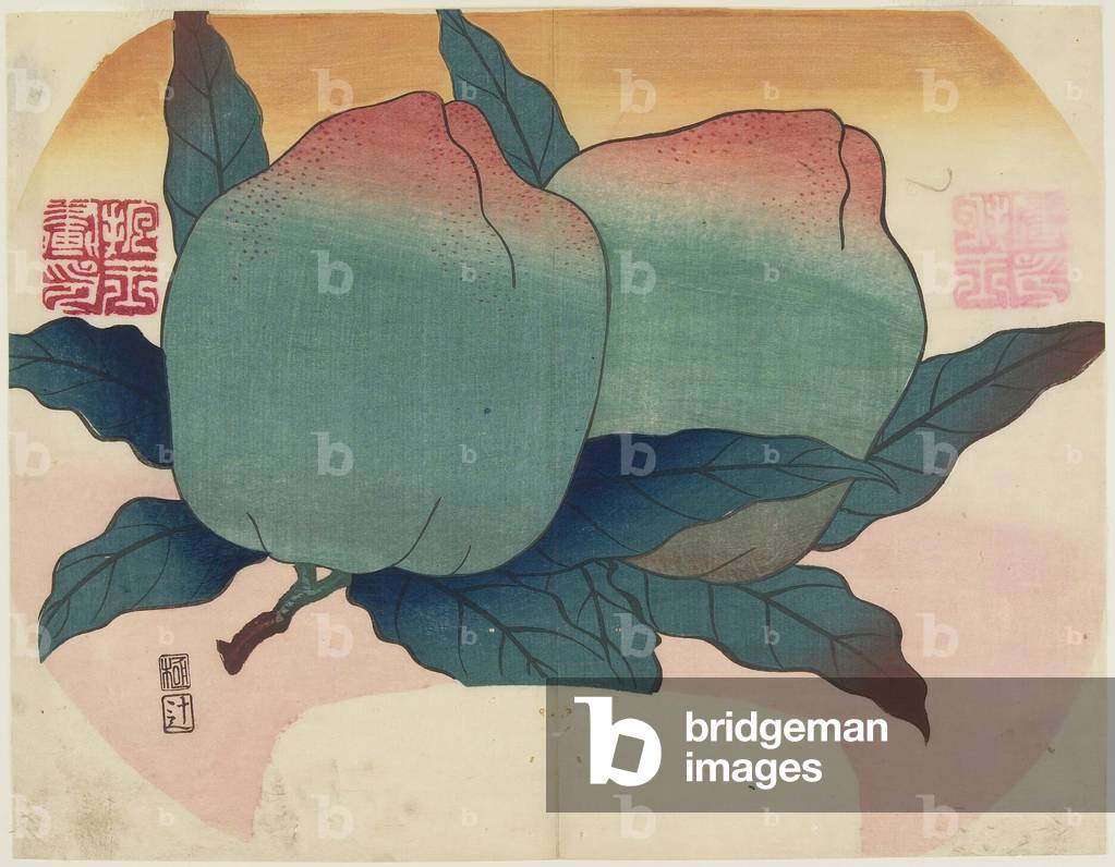 (Fruit on Vine), c. 1830