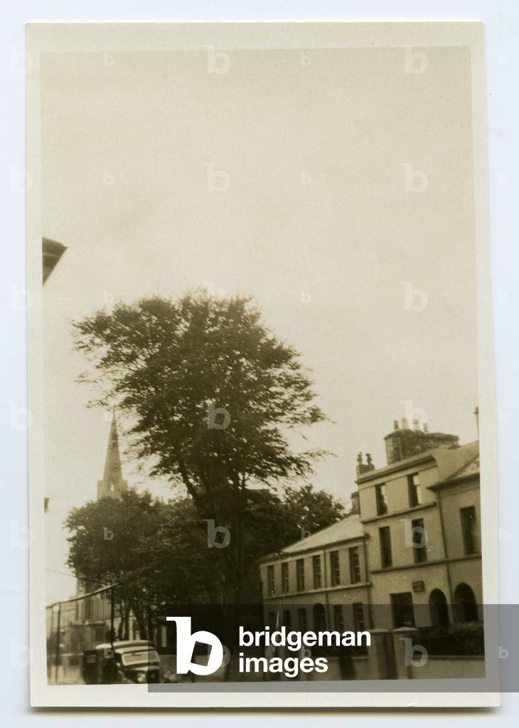 Tree in gardens of Chinese Laundry, Douglas, Isle of Man, 1932-34 (b/w photo)