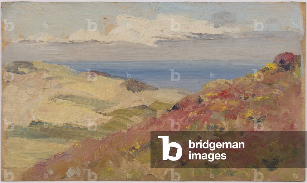 Coastal scene (oil on board)