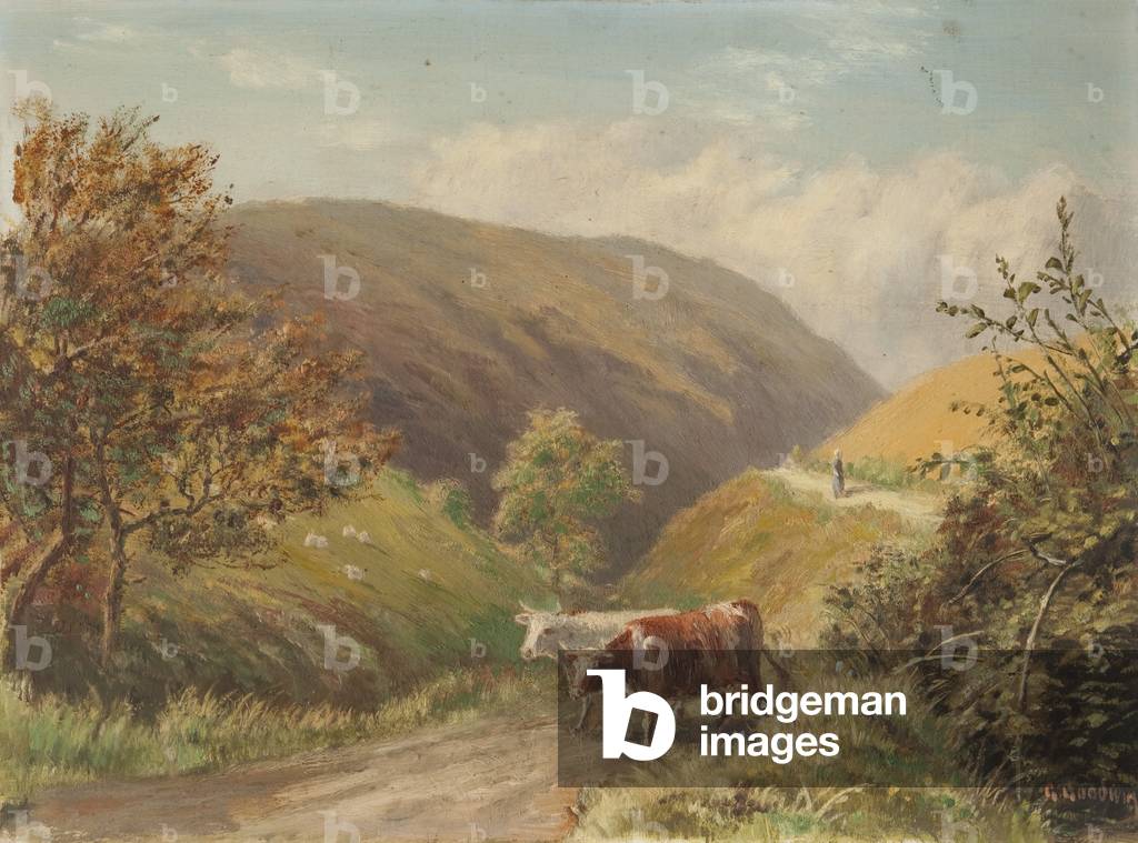Looking Down Glen Rushen, Patrick (oil on card)