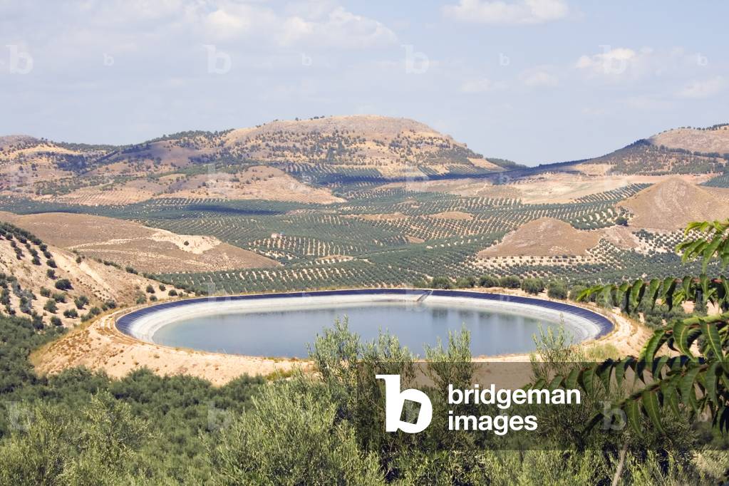 Water deposit tank for the irrigation of olive trees, Jaen province, Spain (photo)