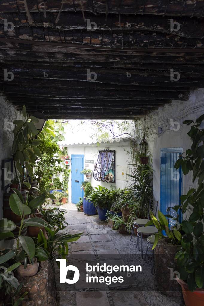 Hidden interior patio, Frigiliana, Malaga Province, Andalusia, Southern Spain (photo)