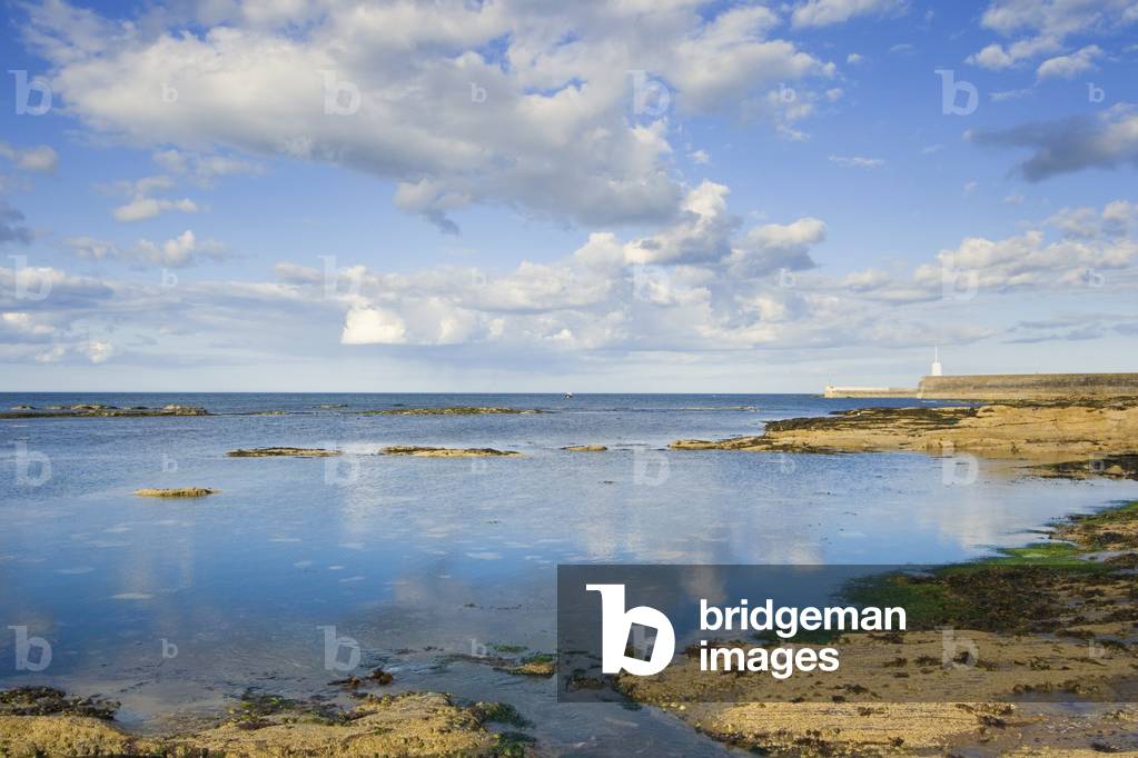 Seascape, Seahouses, Northumberland, England, UK (photo)