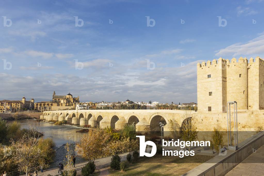 The Roman bridge and the Mosque-Cathedral of Cordoba, Andalusia, Spain (photo)