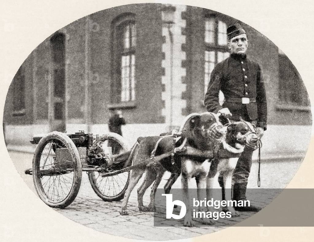 The dogs of war, A Belgian mitrailleuse drawn by dogs during World War One, from The History of the Great War, pub.c. 1919