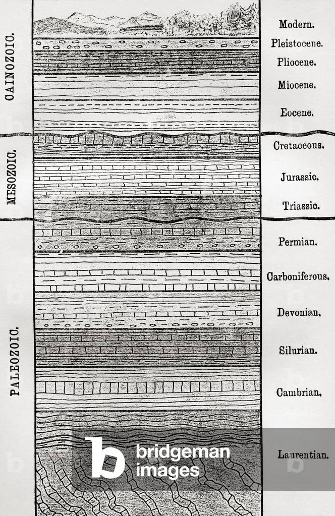 A chart of strata, layers of sedimentary rock or soil