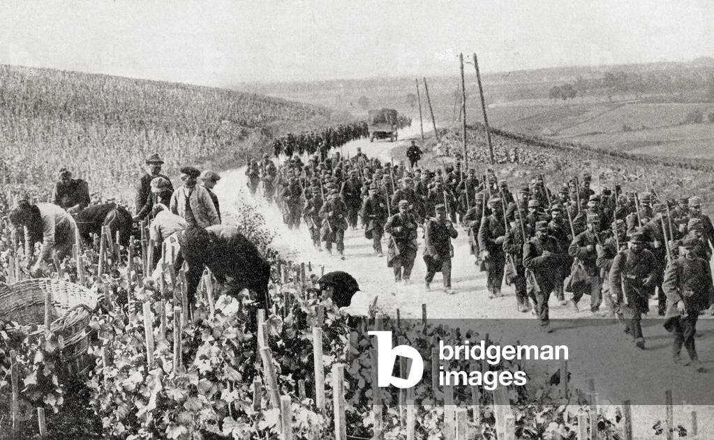 The trail of war amid the peaceful vineyards of Northern France during WWI (litho)