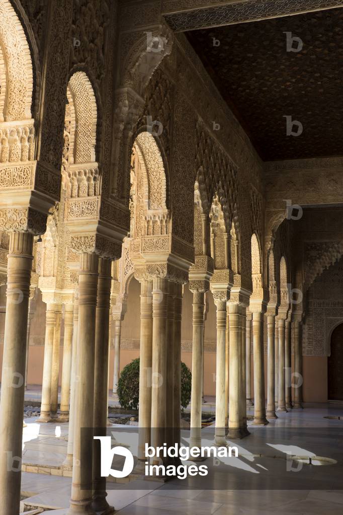 Detail of Palace of the Lions, Alhambra Palace, Granada, Andalucia, Spain (photo)