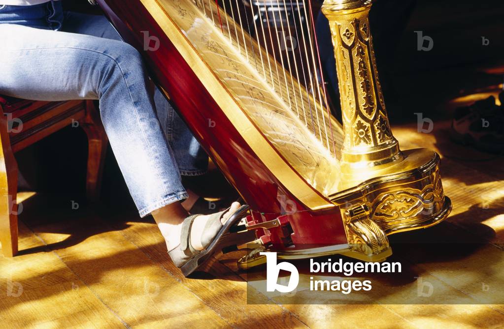 Harpist 's foot on