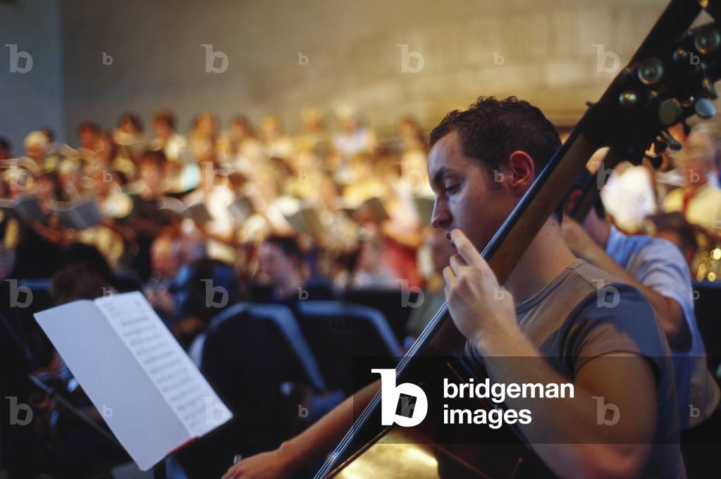 Double Bass player in