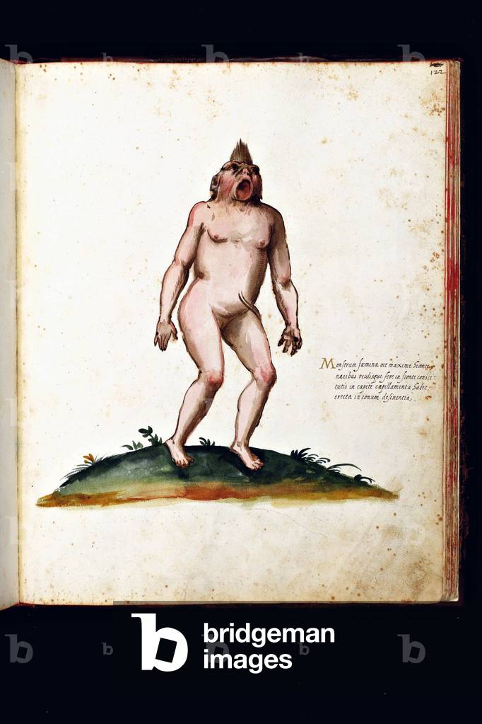 Monster creatures. Illustrated chart of a manuscript of Natural History by Ulisse Aldrovandi (1522-1605), Ulisse Aldrovandi fonds, University Library of Bologna, ed. 1603.