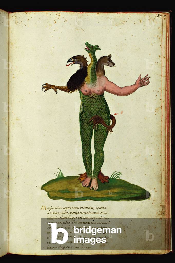 Monstrous creature with a body covered with scales, has three heads, four feet, two legs and a tail. Illustrated chart of a manuscript of Natural History by Ulisse Aldrovandi (1522-1605) on monsters, Ulisse Aldrovandi fonds, University Library of Bologna, ed. 1603.