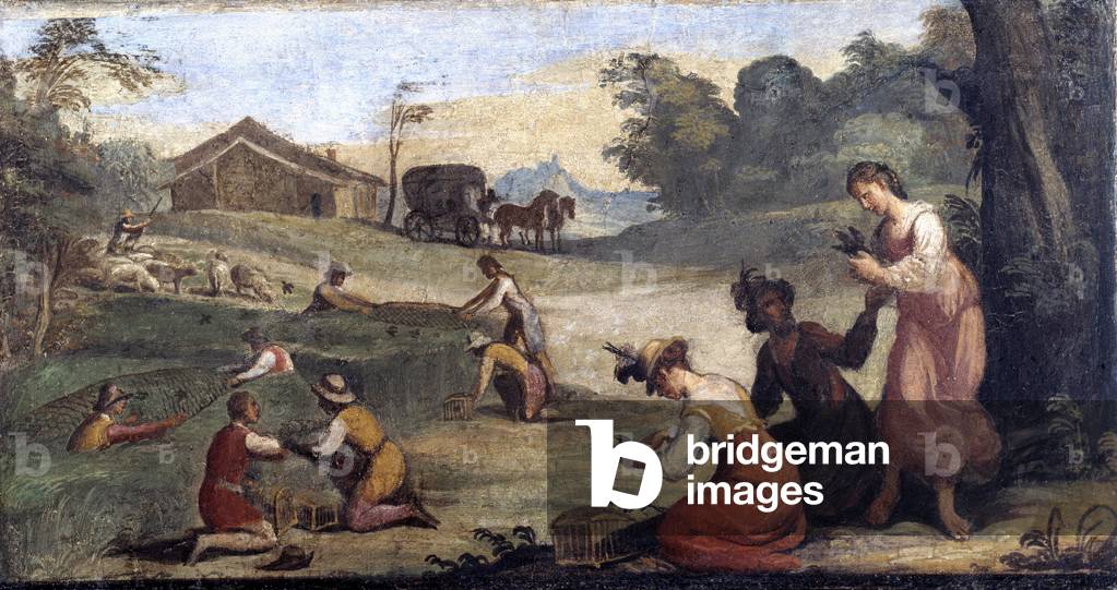 Caccia nel paretaio (Hunting birds with nets) Detached fresco by Giovanni Francesco Barbieri Guerchin dit Il Guercino (1591-1666) 17th century Pinacoteca civica, Cento