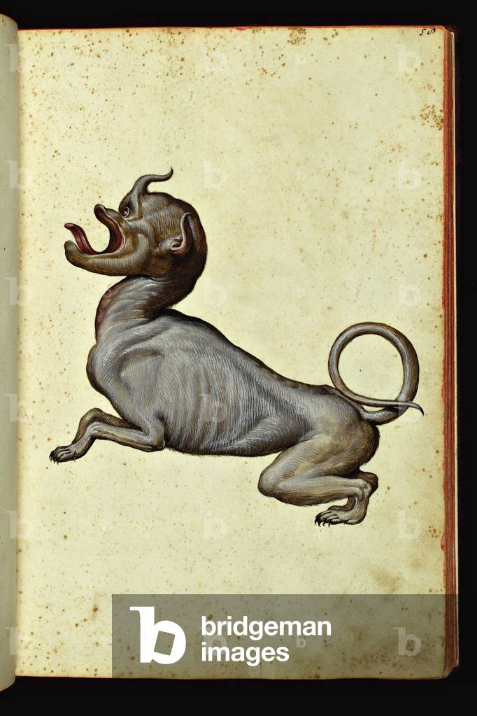 Representation of a monstrous creature. Illustrated chart of a manuscript of Natural History by Ulisse Aldrovandi (1522-1605) on monsters, Ulisse Aldrovandi fonds, University Library of Bologna, ed. 1603.